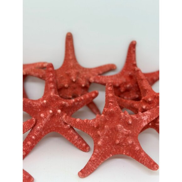 Red Decorative Starfish Set of 8 - 5" Textured Coastal Beach Nautical Decor - Picture 4 of 10